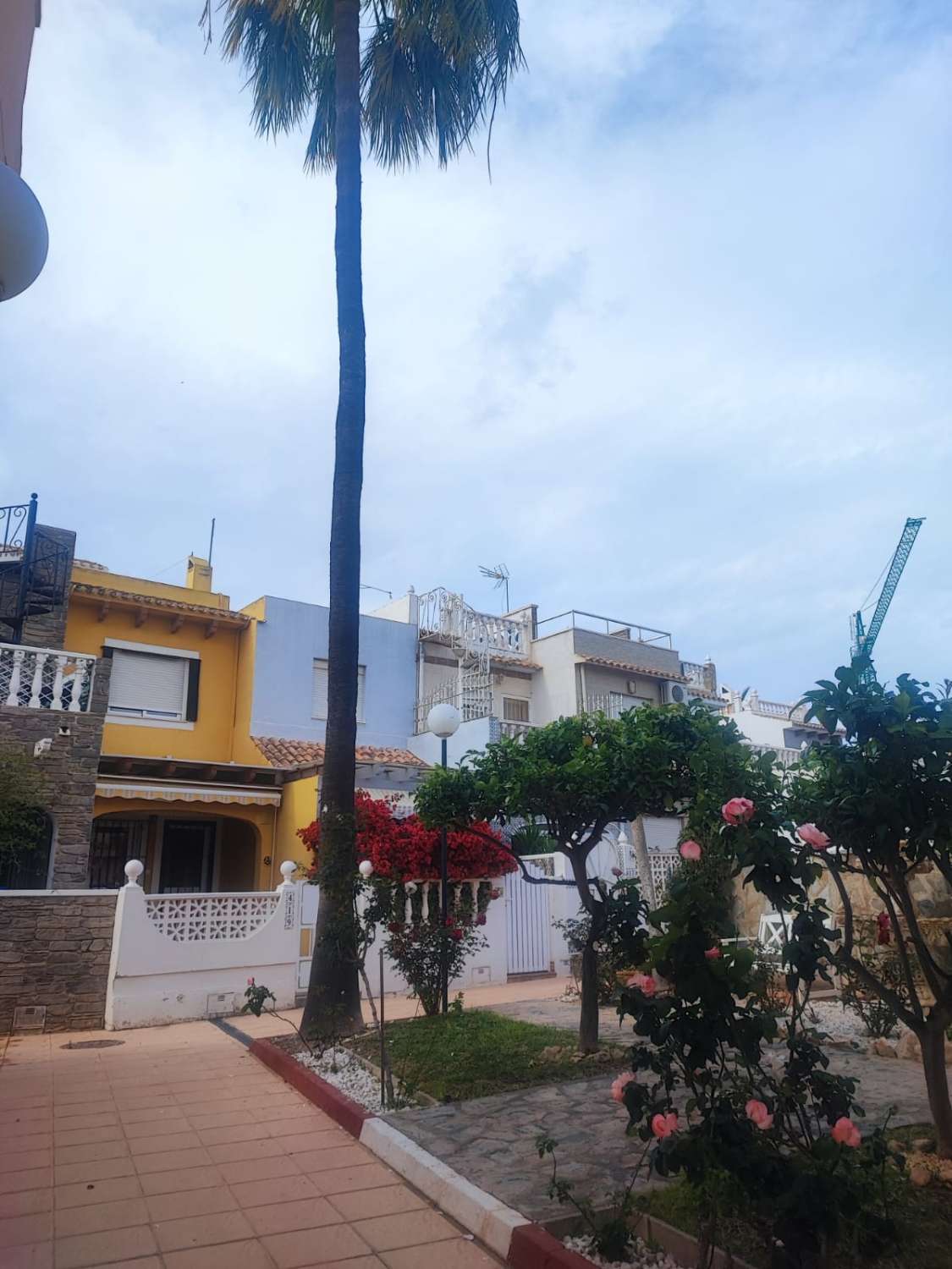 Bungalow, 1 våning uthyres i Playa Flamenca (Orihuela)