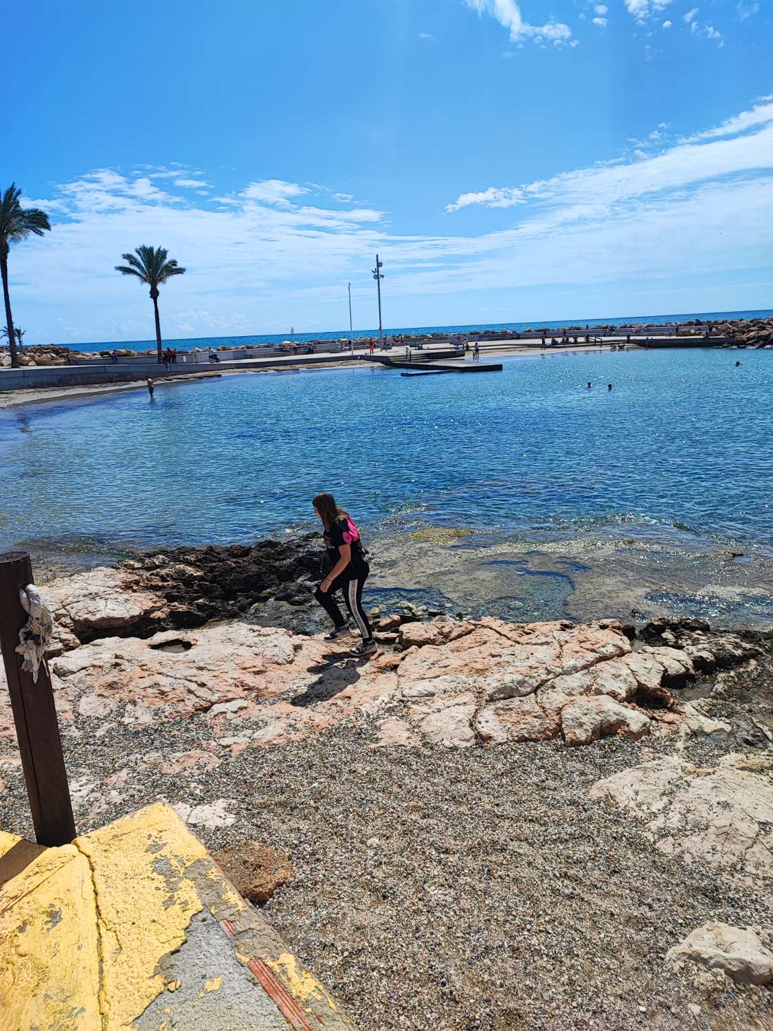 Dúplex de vacances in Playa de los Locos (Torrevieja)