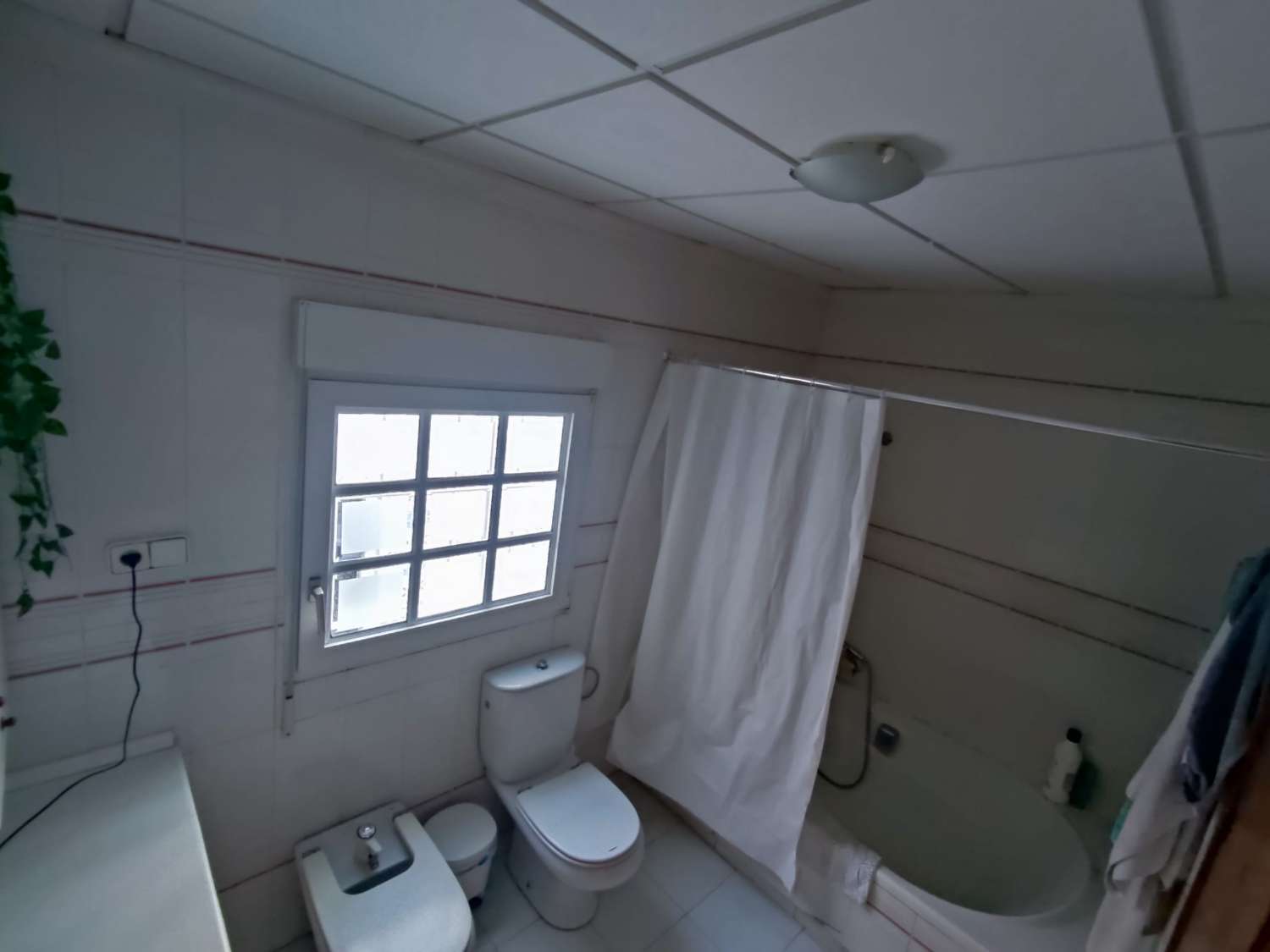 Casa pareada en centro de Torrevieja