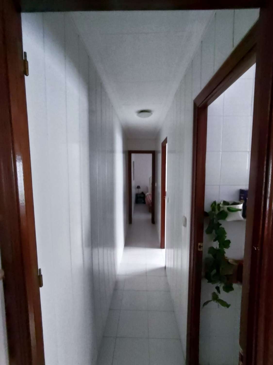 Casa pareada en centro de Torrevieja