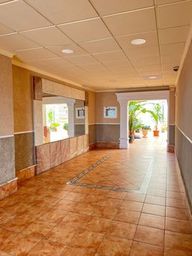 Increible apartamnet frente al mar