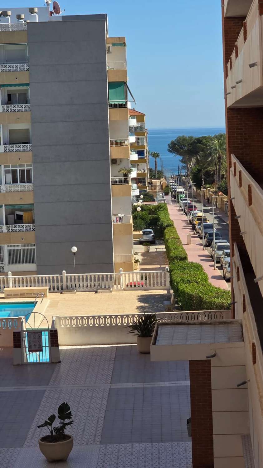 Excelente apartamento, orientacion sur