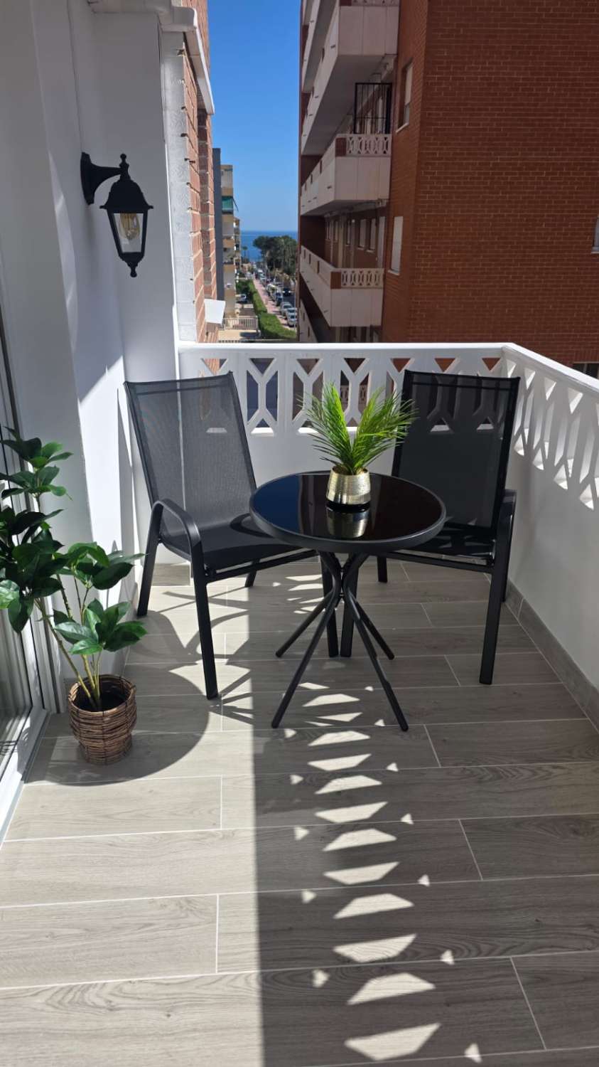 Excelente apartamento, orientacion sur